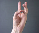 Bhudy mudra