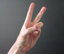 Pran mudra