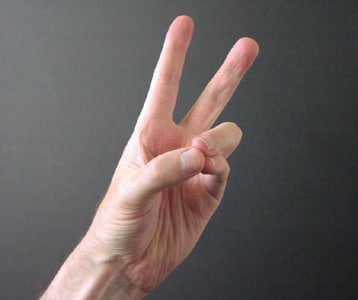 Pran Mudra